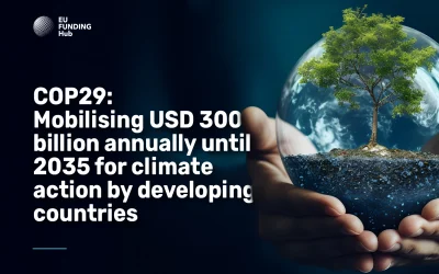 COP29: Mobilising USD 300 billion annually until 2035 for climate action by developing countries